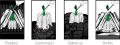 eko-ognisko-woodson-rozpalka-podpalka-grafika.png