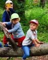 tickless-baby-1.jpg