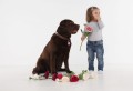 tickless-pet-pink-dla-zwierzat.jpg