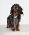 Tickless-Pet-Mini-White-4.JPG