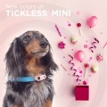 Mini dog pink.jpg