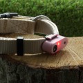 Tickless-Pet-Mini-Pink-7.jpg