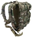 CAMO-PLECAK-WOJSKOWY-TAKTYCZNY-ASSAULT-25L.-8.jpg