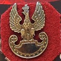 Zanczek-Orzel-Militarny-1.jpg