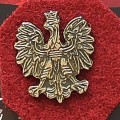 Zanczek-Orzel-Polski-1.jpg