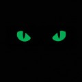 m-tac-naszywka-patche-cat-eyes-laser-cut-type-2-1.jpg
