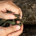 m-tac-karabinek-plastikowy-od-green.jpg