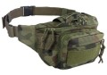 CAMO-TORBA-BIODROWA-NERKA-KANGOO-3L-WZ-PANTERA-2.jpg
