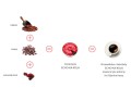 Scho-ka-kola-dark-infografika.jpg