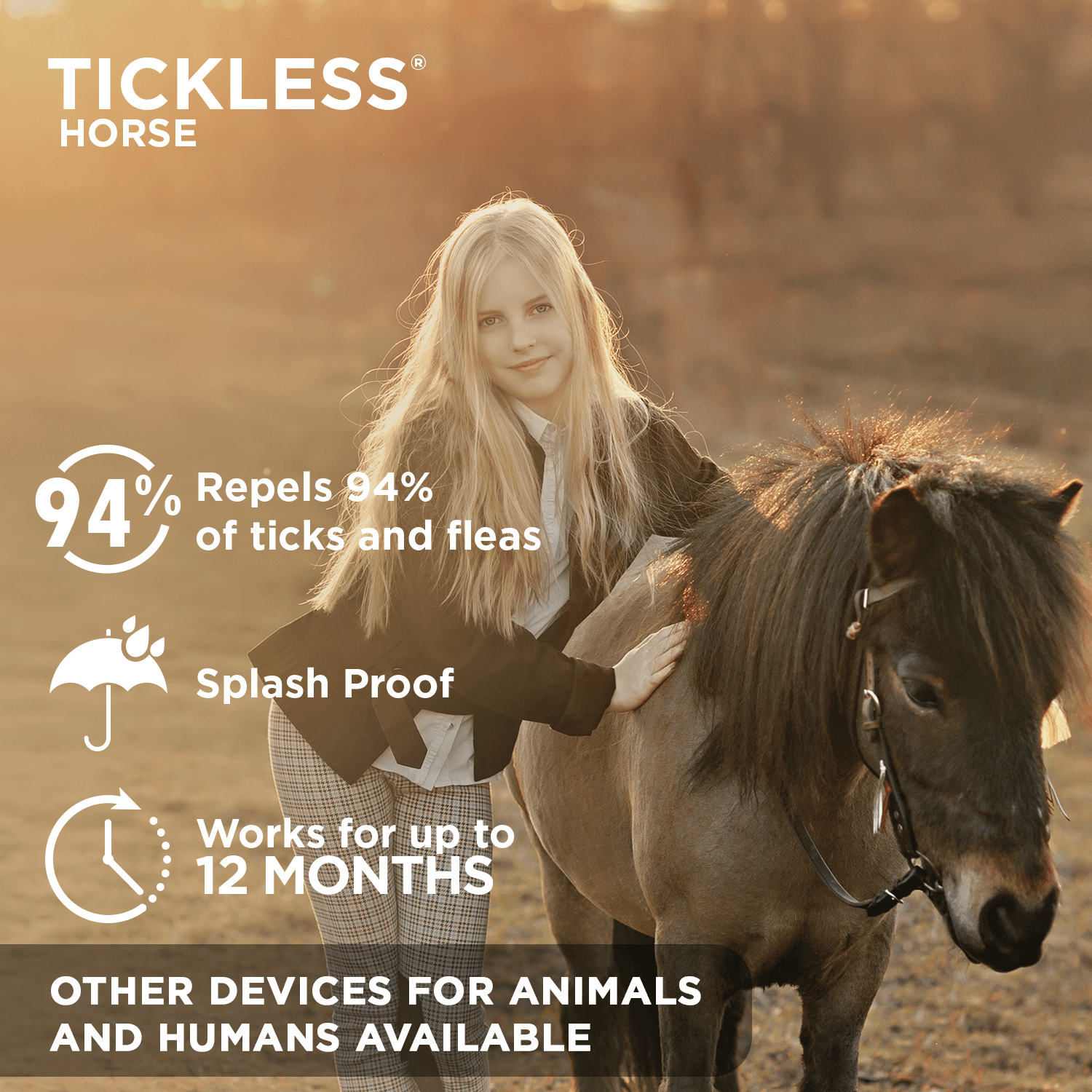 tickless-horse