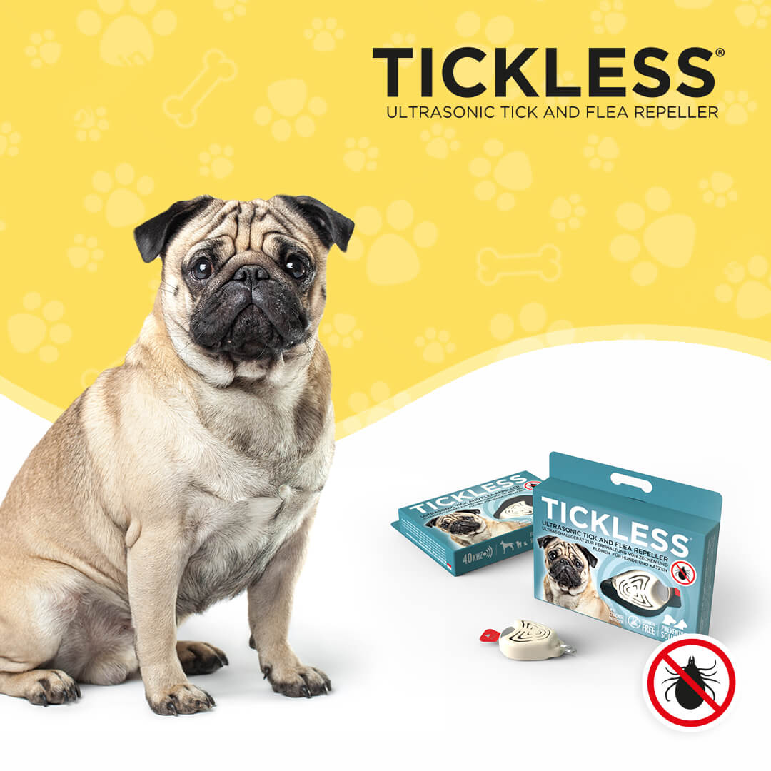 ticless-pet-beige