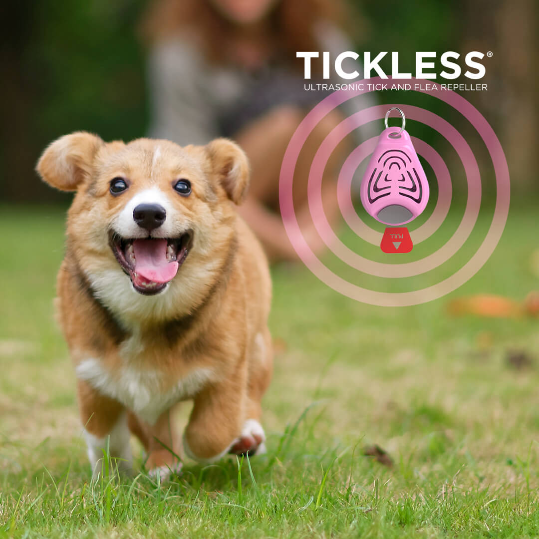 ticless-pet-pink